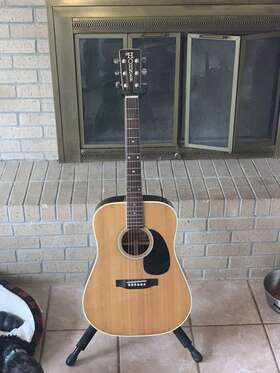 Hg300 Hohner 1970 S