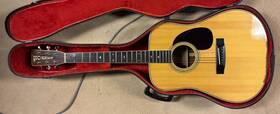 Hg-310 Hohner Hg310 International Limited Edition Acoustic Guitar - Made In Japan