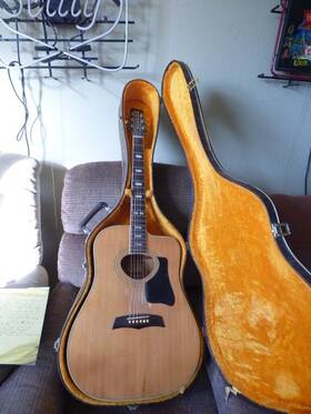 Hg360m Hohner Acoustic Guitar And Case Used Every Week Until Owner Passed