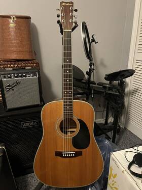 Hw720s Hohner Professional Acoustic Guitar