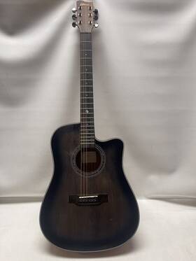Hag-001 Horse Hag-1 Acoustic Guitar