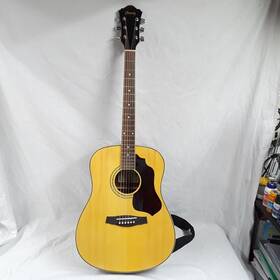 Sgt120-nt-2y-01 Ibanez 120-nt-2y-01 Acoustic Guitar With Soft Backpack Zip Case Euc