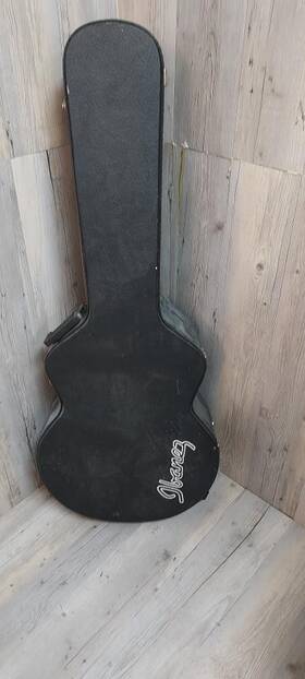 20e-trs-14-02 Ibanez Ae1 Psn040012
