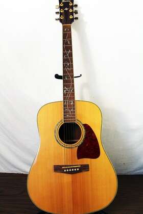 Aw40-nt Ibanez Aw40nt Acoustic Guitar - Tree Of Life Inlay Has Side Damage