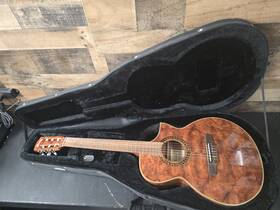 Ewn28 Ibanez Acoustic Eletric Guitar Tested With Case Exotic Wood Series Slim Body