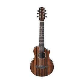 Ewp13 Ibanez Acoustic Guitar Dark Brown Open Pore