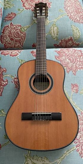 Ga15-hf-nt Ibanez Beautiful Acoustic Guitar With Soft Case