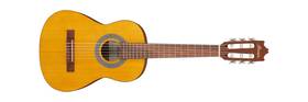 Ga1oam Ibanez Acoustic Classical - Open Pore Amber