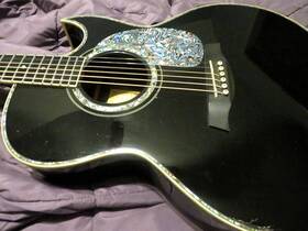 Ibanez Jsa10-bk Solid Rosewood Joe Satriani Acoustic Guitar