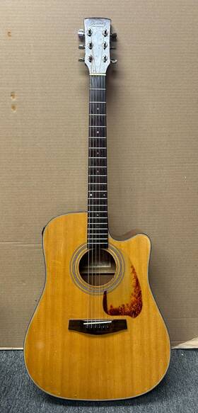 Pe5cent-1001 Ibanez Performance With Fishman Pickups Read Description