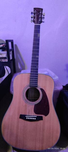 Pf-5nt Ibanez Acoustic Guitar