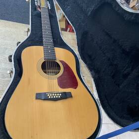Ibanez Pf104sjp-nt-27-01 Acoustic Guitar Hard Case