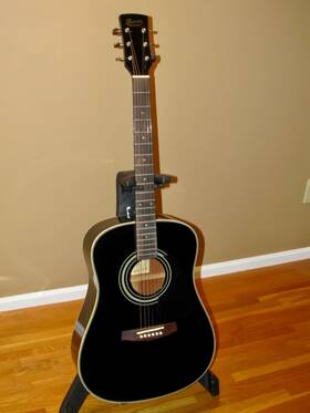 Pf10bk Ibanez Acoustic Guitar With Tacoma Case-made In Korea