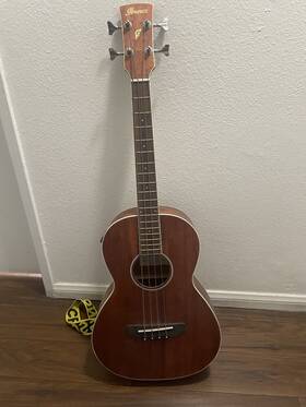Ibanez Pnb14e Parlor Acoustic-electric Bass Guitar Natural