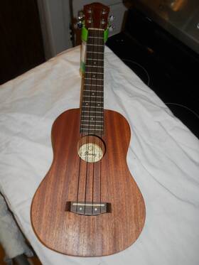 Ukc10 Ibanez Very Nice Concert Ukulele Open Pore Natural