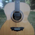 J125-n Washburn Acoustic Guitar Up Hard Shell Case