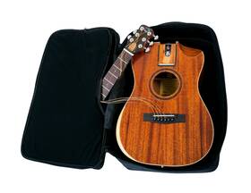 Journey Instruments Of312c Overhead Solid Top/back Mahogany