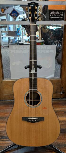 D2-120 Kepma Acoustic Guitar With Hardshell Case