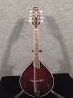 Km-254 Kentucky Lot Deluxe Mandolin
