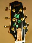 Leach Harvey Grapevine Custom Dreadnought Acoustic Guitar