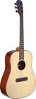 00882030207754 Lis-d James Neligan Jn Guitars Lismore Series Acoustic Solid