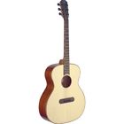Lisa James Neligan Acoustic Guitars Lismore Series Auditorium 882030207716
