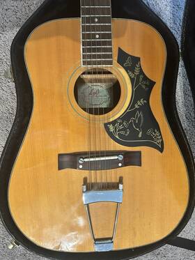 Lyle Ms-12 Vintage 12-string Acoustic Guitar Made In Korea With Hardshell Case