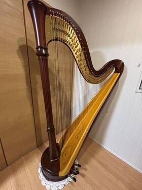 85sg Lyon & Healy And 46-string Style