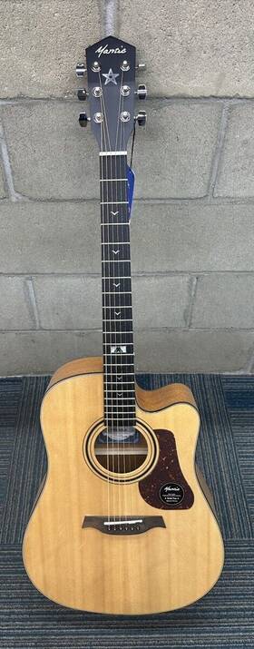 Wmp005311 Mantic Gt-10dc Acoustic Guitar Model