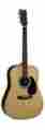 Mard35-50th D-35 50th Anniversary Martin Acoustic With Hard Case 729789011808