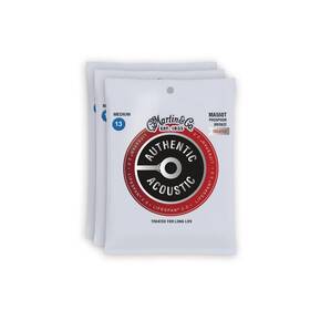 Ma550t Martin 680642910389 Authentic Acoustic Lifespan 2.0 92/8 Phosphor Bronze Medium 13-