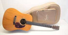 Martin Dx1rgt And Co. Acoustic Guitar With Case