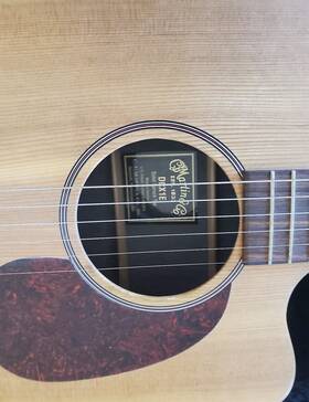 Guitar-dcx1e Martin