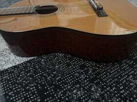 Martin Tc-983 Mann Muss Alle Gitarrensaiten Wechseln Aber Die Gitarre Ist In Perfektem Zustand