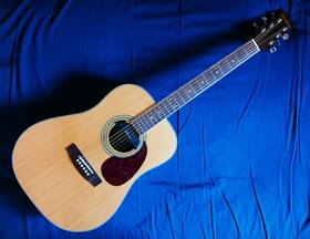 Md-200s Mitchell Acoustic Guitar