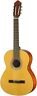 N450 Walden With Gig Bag Standard Solid Spruce Top 810035440401