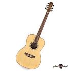 Gy93-nat Na Takamine New Yorker Acoustic Guitar Tural 736021372962