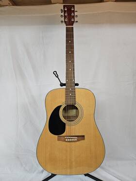 New York Pro Ny-23n Model Acoustic Guitar