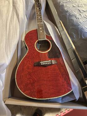 New York Pro Ny-yea330 Ny Acoustic Guitar Model Ce - Twr