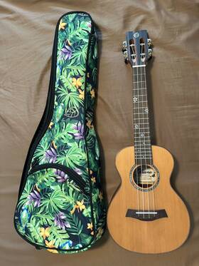Ck-50me Ohana Ukulele Concert Natural Solid Cedar Ebony With Gig Bag