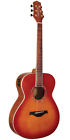 Ome-hs Woodsong Wodsong Orchestra Acoustic-electric