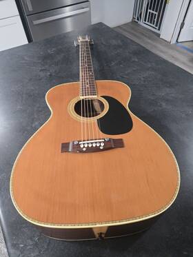 359-f Orpheum Vintage 70s 359f Acoustic Guitar With Case