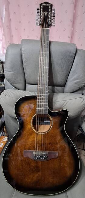 Oscar Schmidt Aeg5012 Ibanez 12 String Acoustic Electric Guitar