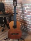 P-59m Aria Pepe Acoustic Guitar With Factory Hard Case