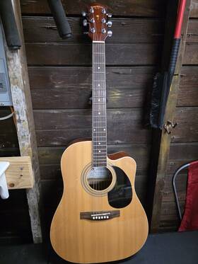 Pd21eon Palmer Acoustic/electric Cuttaway Guitar With Soft Gig Bag Stand And Wall