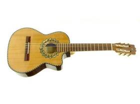 Paracho Elite 843544009920 Zapata Requinto