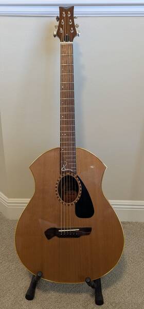 Pa22 Parker Acoustic Guitar With Hard Shell Case