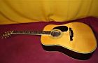 Pd100s Nat Alvarez Nice Dreadnought Vine Of Life Acoustic Guitar