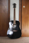 Pd21 Palmer Acoustic Guitar Model Black With Soft Gently Used