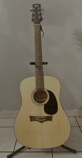 Peavey 0056400 Acoustic Guitars Used Stand In Picture Included